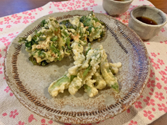 タラの芽の天ぷらと菜の花と桜エビのかき揚げのレシピ ロイヤルクイーン料理教室 No7679